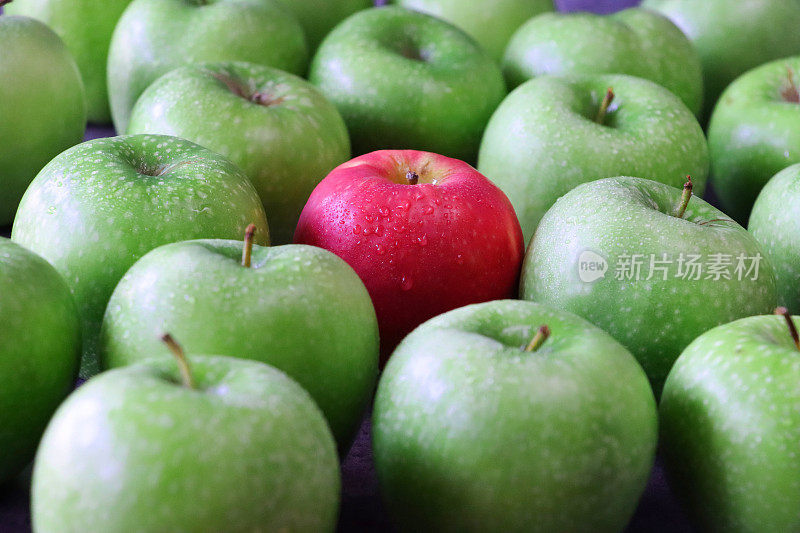 单个红苹果的全画幅图像，周围是一大群绿色的史密斯苹果(Malus domestica)，有茎，光滑，有斑点的果皮，重点在前景，奇怪的一个概念